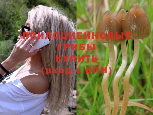ECSTASY Абдулино